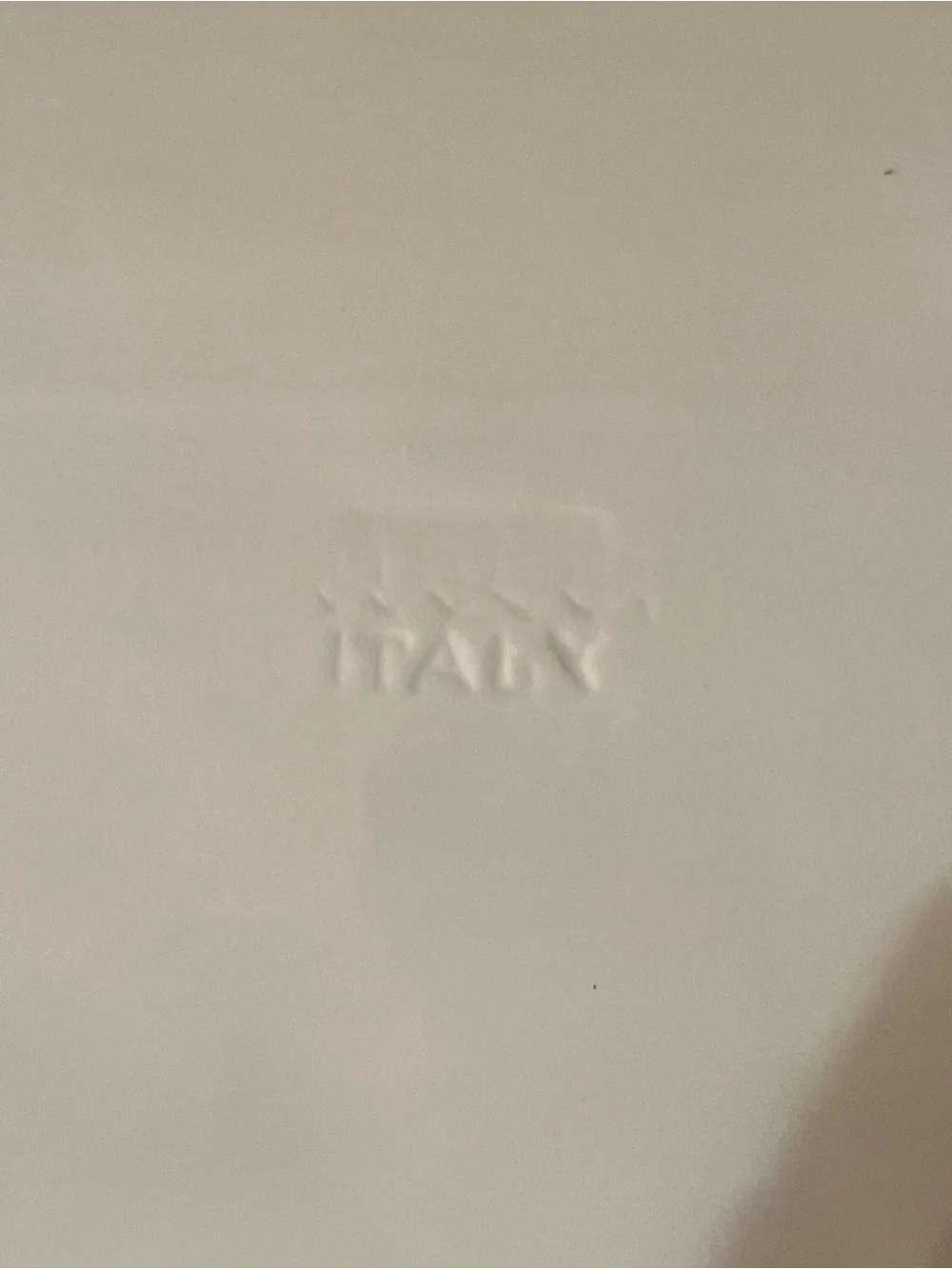 Hudson/Grace White Ceramic Fish Serving Platter